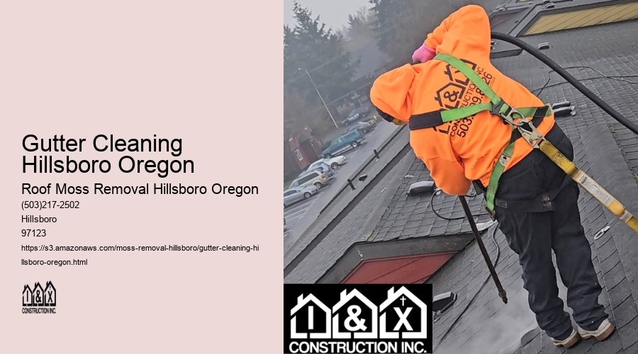 Gutter Cleaning Hillsboro Oregon