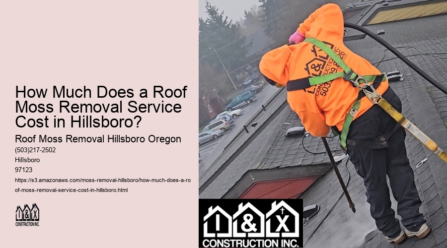 How Much Does a Roof Moss Removal Service Cost in Hillsboro?