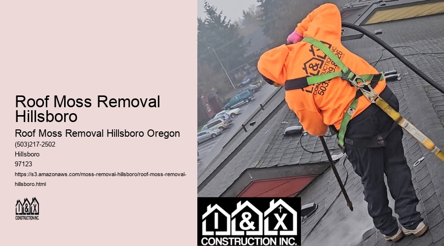 Roof Moss Removal Hillsboro