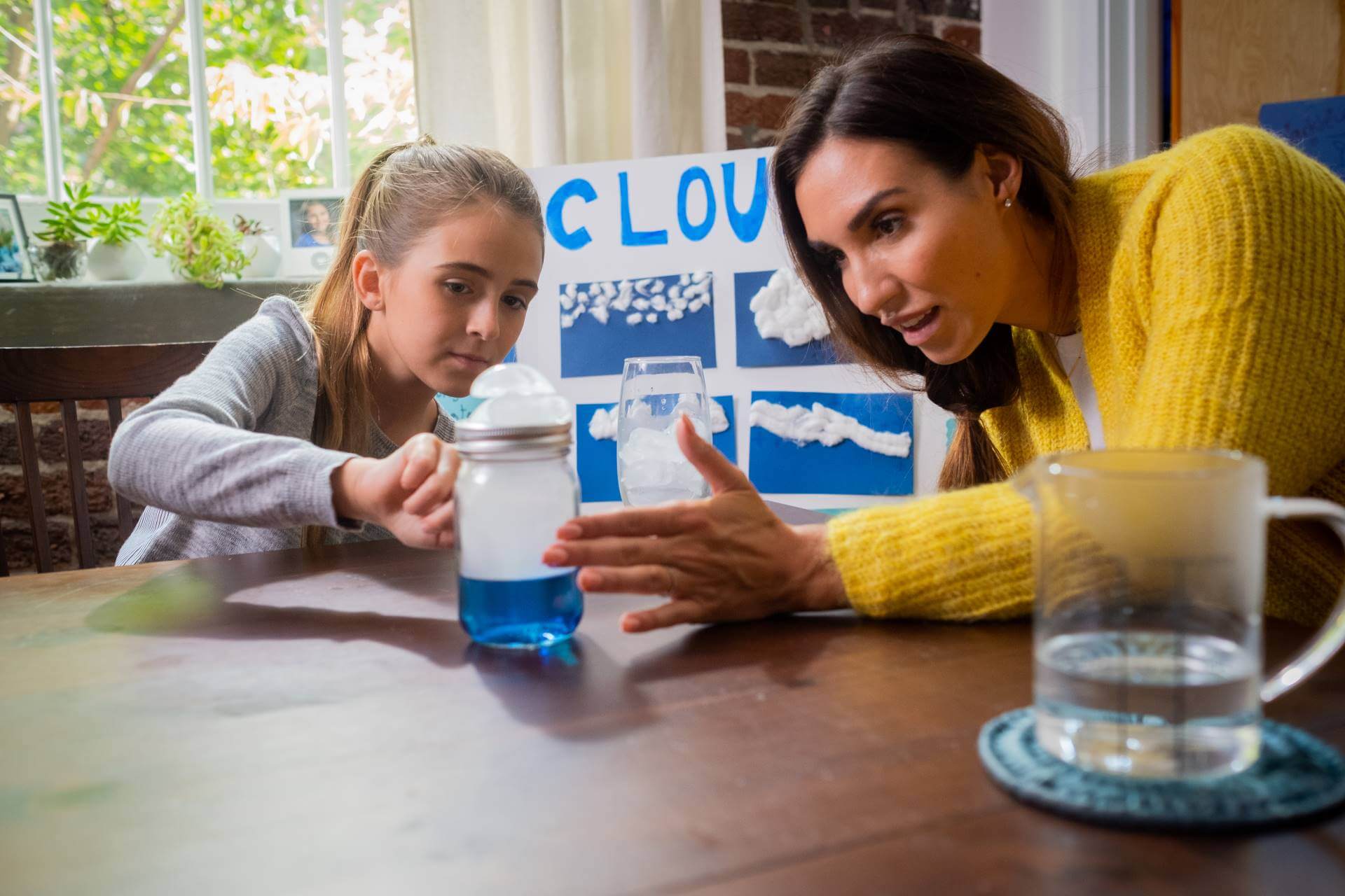 ABOUT MOUNTAIN LAKE PBS visual data 7