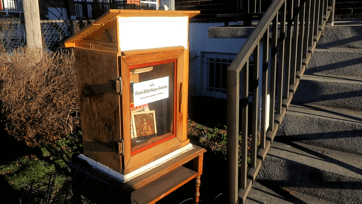 Little Free Library Mountain Lake Pbs