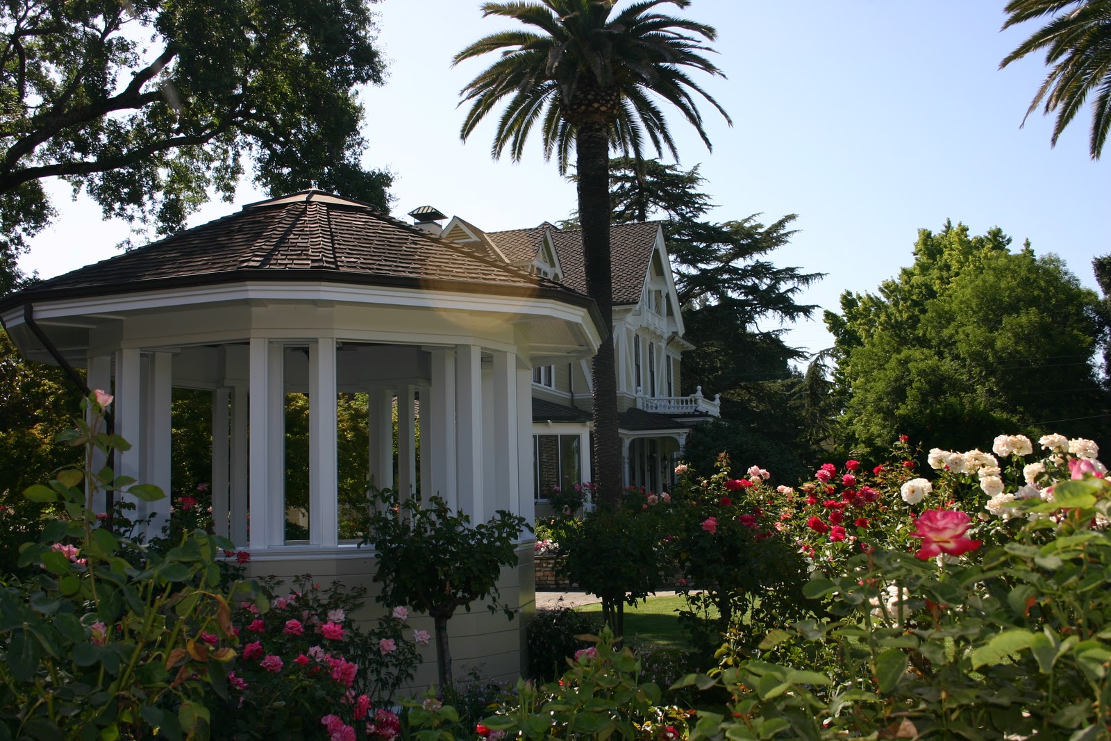 hoa fees monthly or yearly