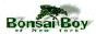 Bonsai Boy Ratings