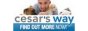 Cesar's Way Ratings