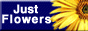 JustFlowers.com Ratings
