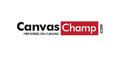 Canvas Champ Coupons