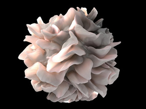 Cancer-fighting Communication