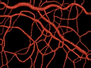 Meeting Cancer's Needs