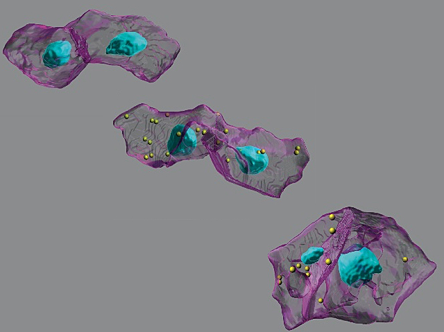 Head Heart Governors