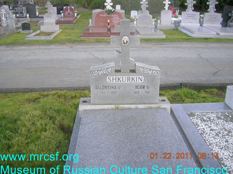 Grave/tombstone of SHKURKIN Валентина В.