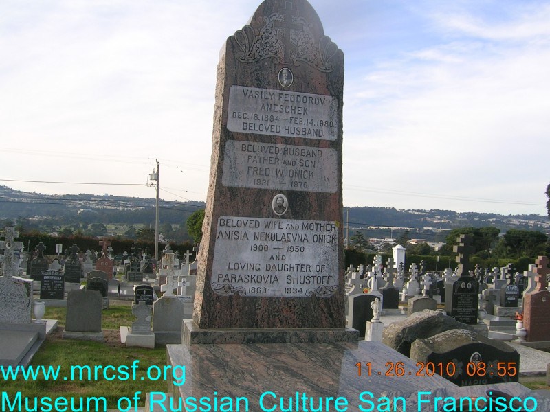 Grave/tombstone of ANESCHEK Василий Феодорович
