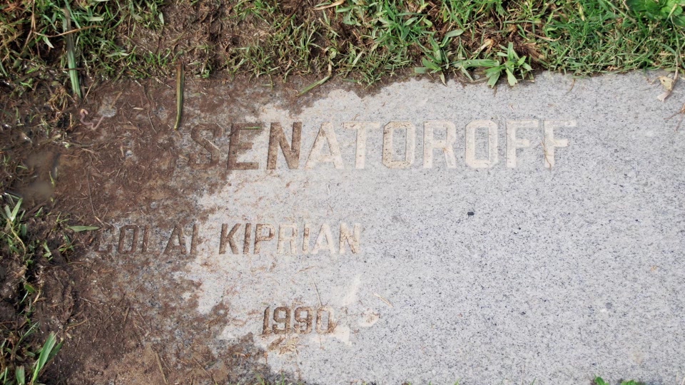 Могила/надгробие СЕНАТОРОВ Nikolai Kiprian