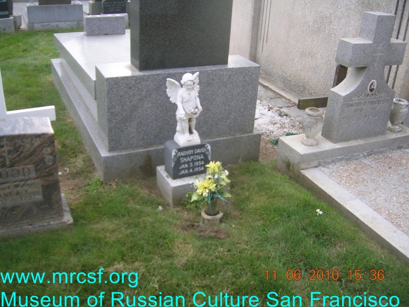 Grave/tombstone of SHAPONA David