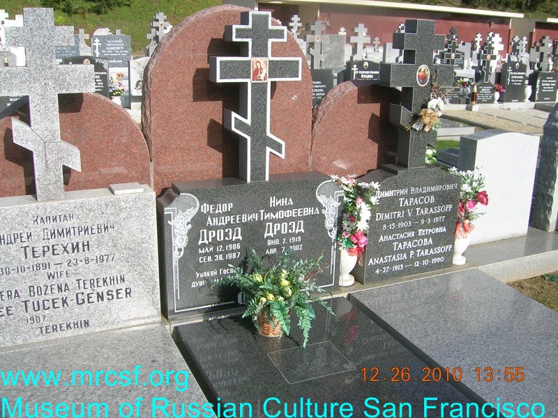 Могила/надгробие ДРОЗД Нина Тимофеевна