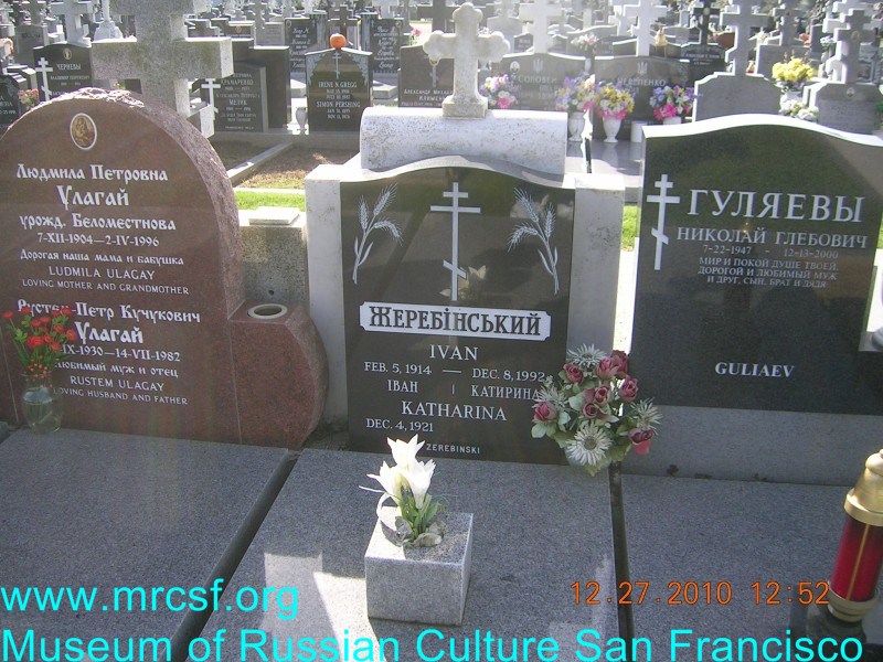 Grave/tombstone of ZEREBINSKI Катерина