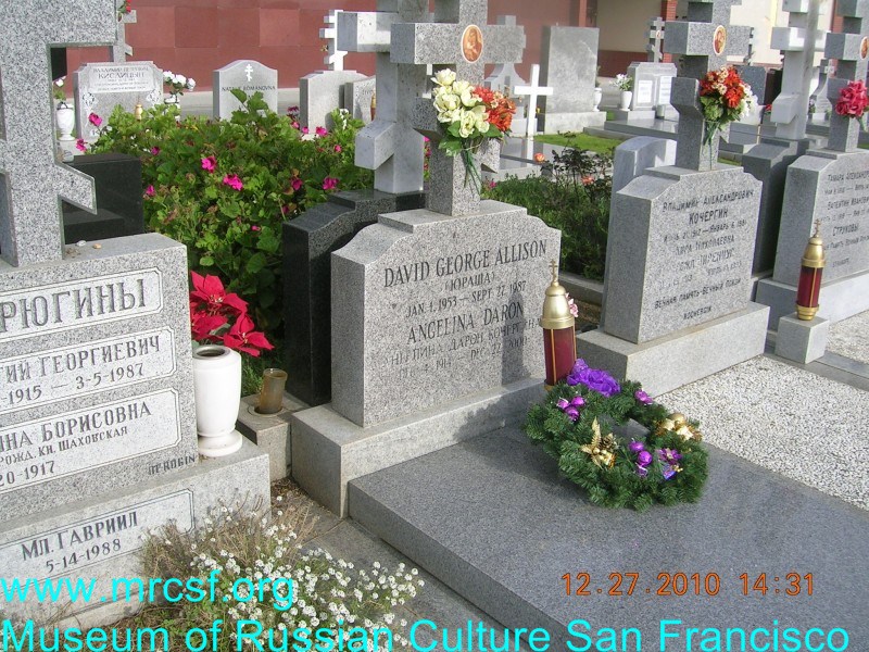Могила/надгробие АЛЛИСОН David George