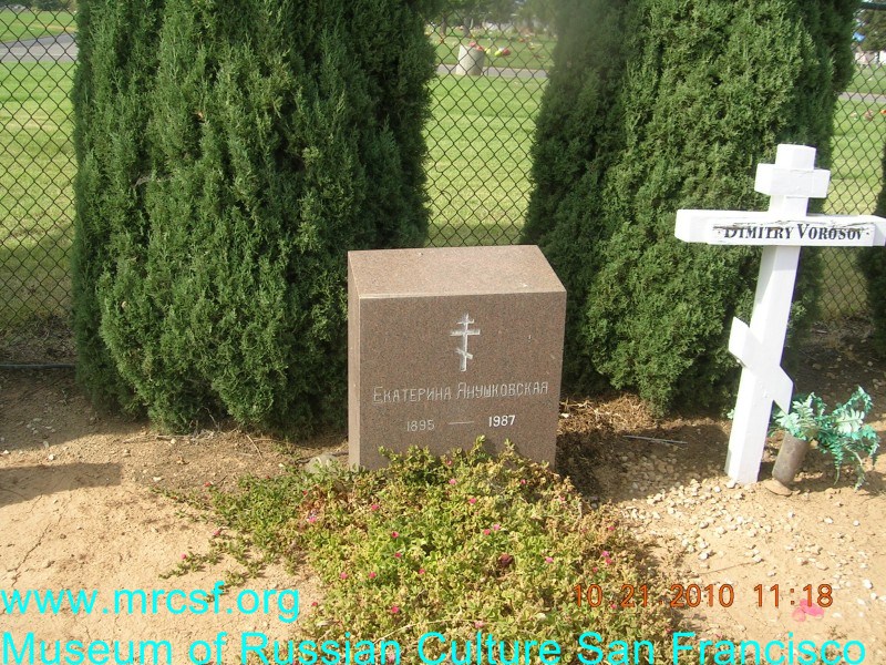 Grave/tombstone of IAKUSHOVSKY Екатерина