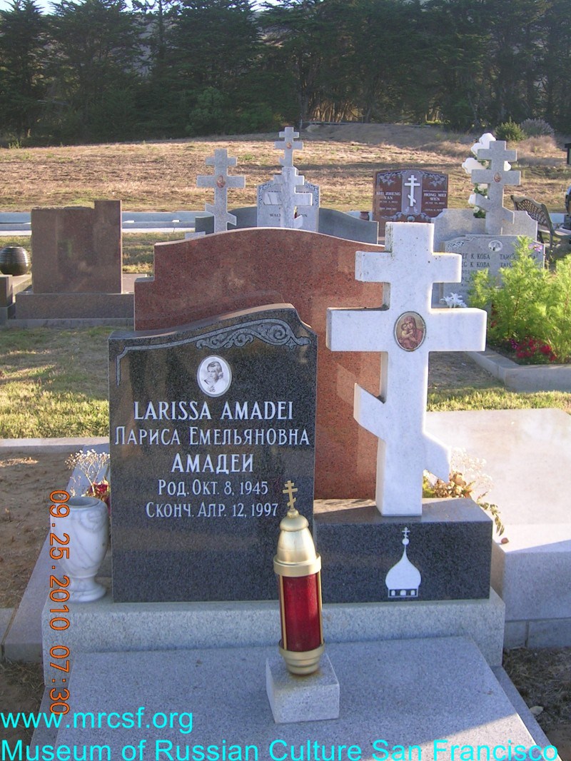 Могила/надгробие АМАДЕИ Лариса Емельяновна