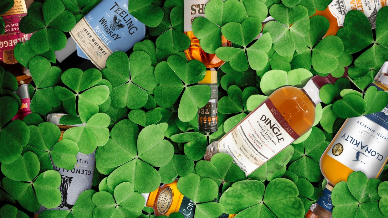 Several bottles of Irish Whiskey are dispersed among shamrocks.