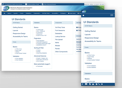 eRA UI Standards Intranet website thumbnail