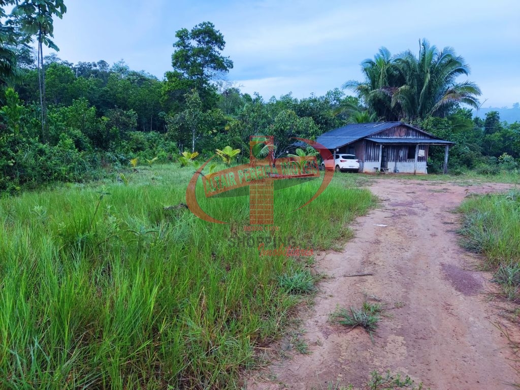 Lote Rural denominado “SÍTIO ÁGUA VIDA” - TARTARUGAL GRANDE – PA/CEDRO,