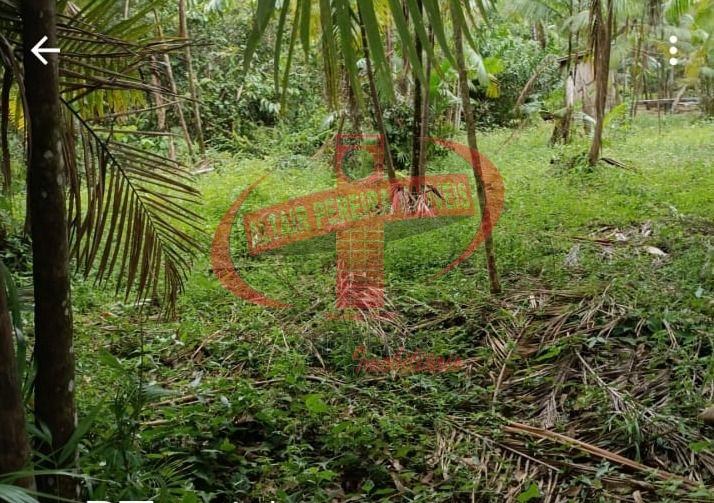 Imóvel Rural CAMBÃO Comunidade Belo Horizonte, às margens do Rio Guajará Anajás/PA