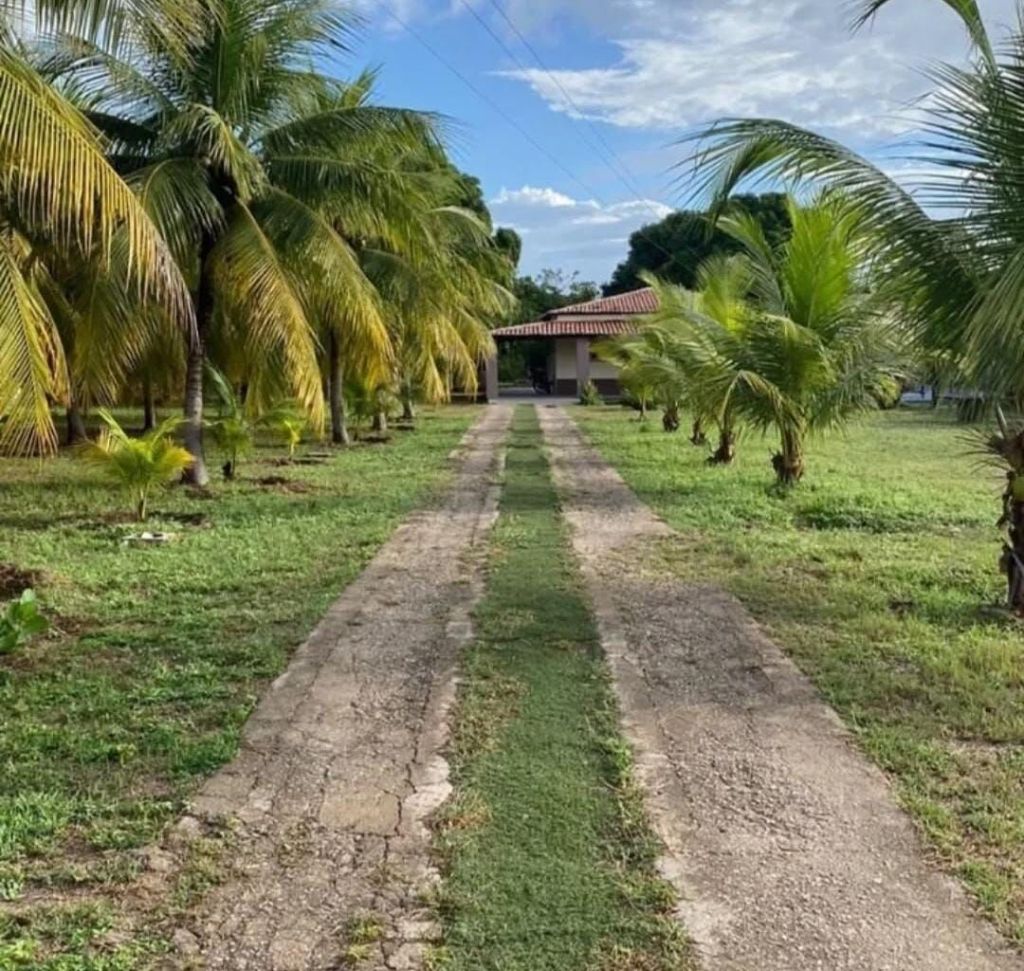 Chácara, 2 quartos - Foto 3