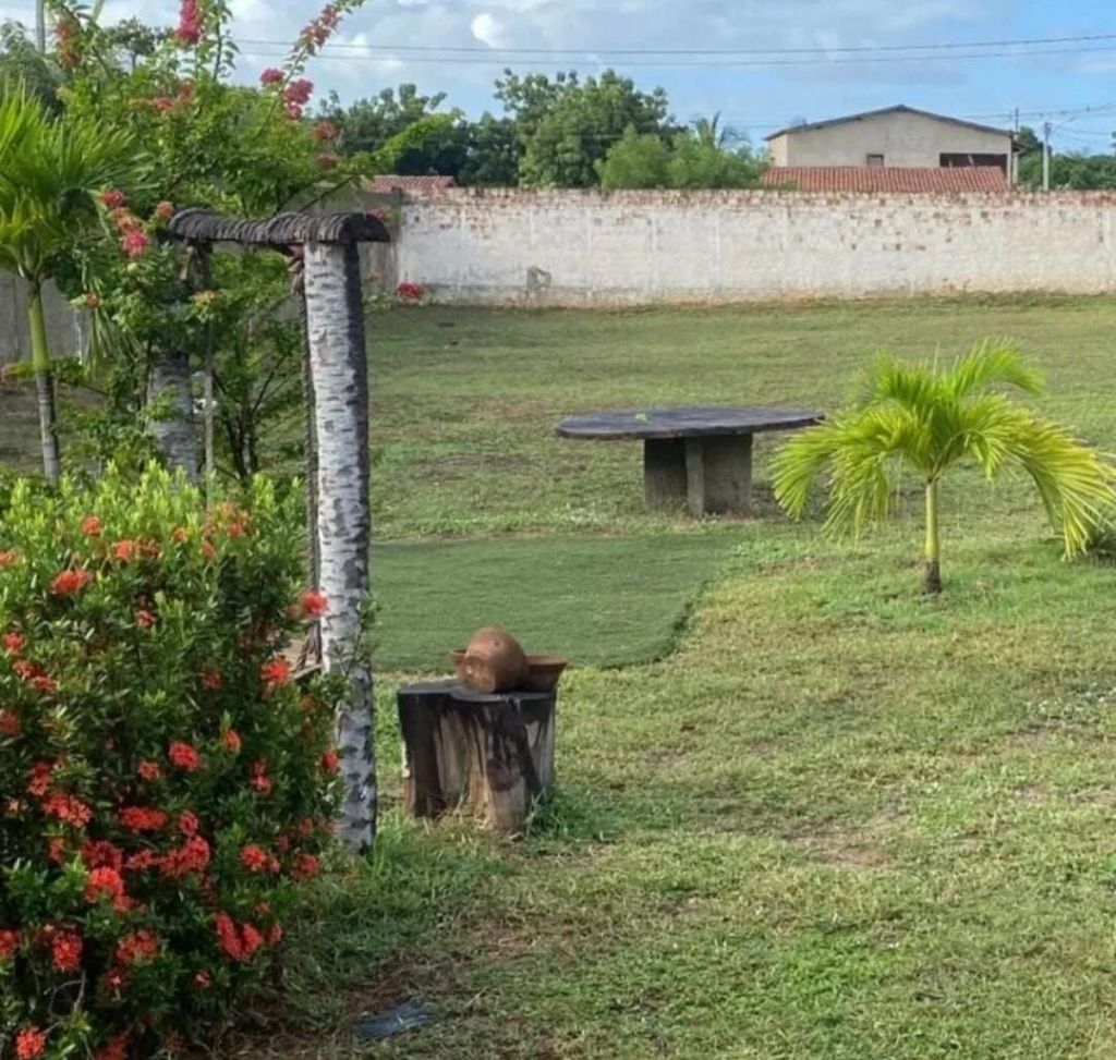Chácara, 2 quartos - Foto 6