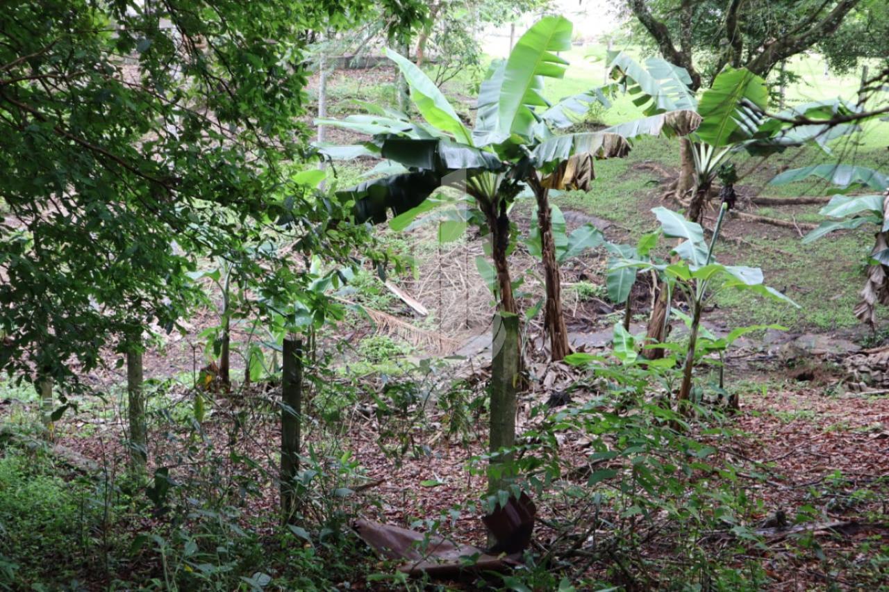 Terreno com 2500m. Próximo a Hemmer e o Instituto - foto 1