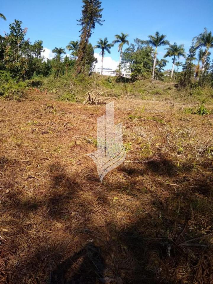 Terreno com 35.106 m na BR470. — foto 3