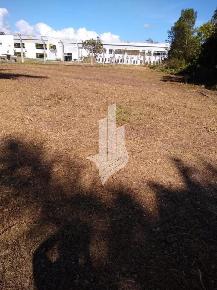 Terreno com 35.106 m na BR470. — foto 4