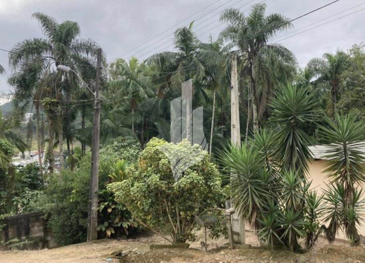 Terreno residencial com 427m na Fortaleza Alta, fácil acesso a BR470. — foto 6
