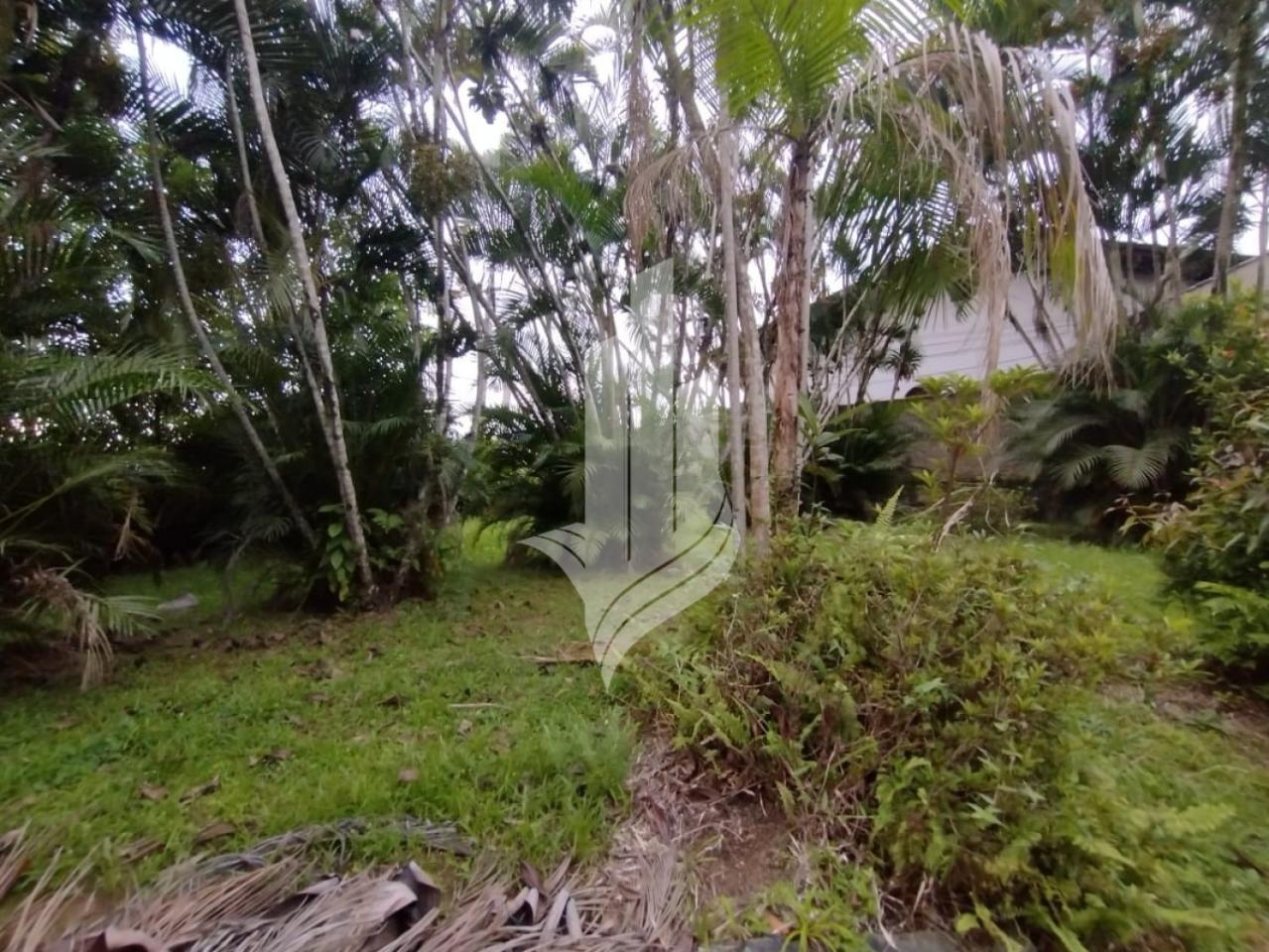 Terreno à venda no Bairro Água Verde em Blumenau com 3.612,20m, sendo 27 metros de frente, plano e leve aclive nos fundos — foto 2