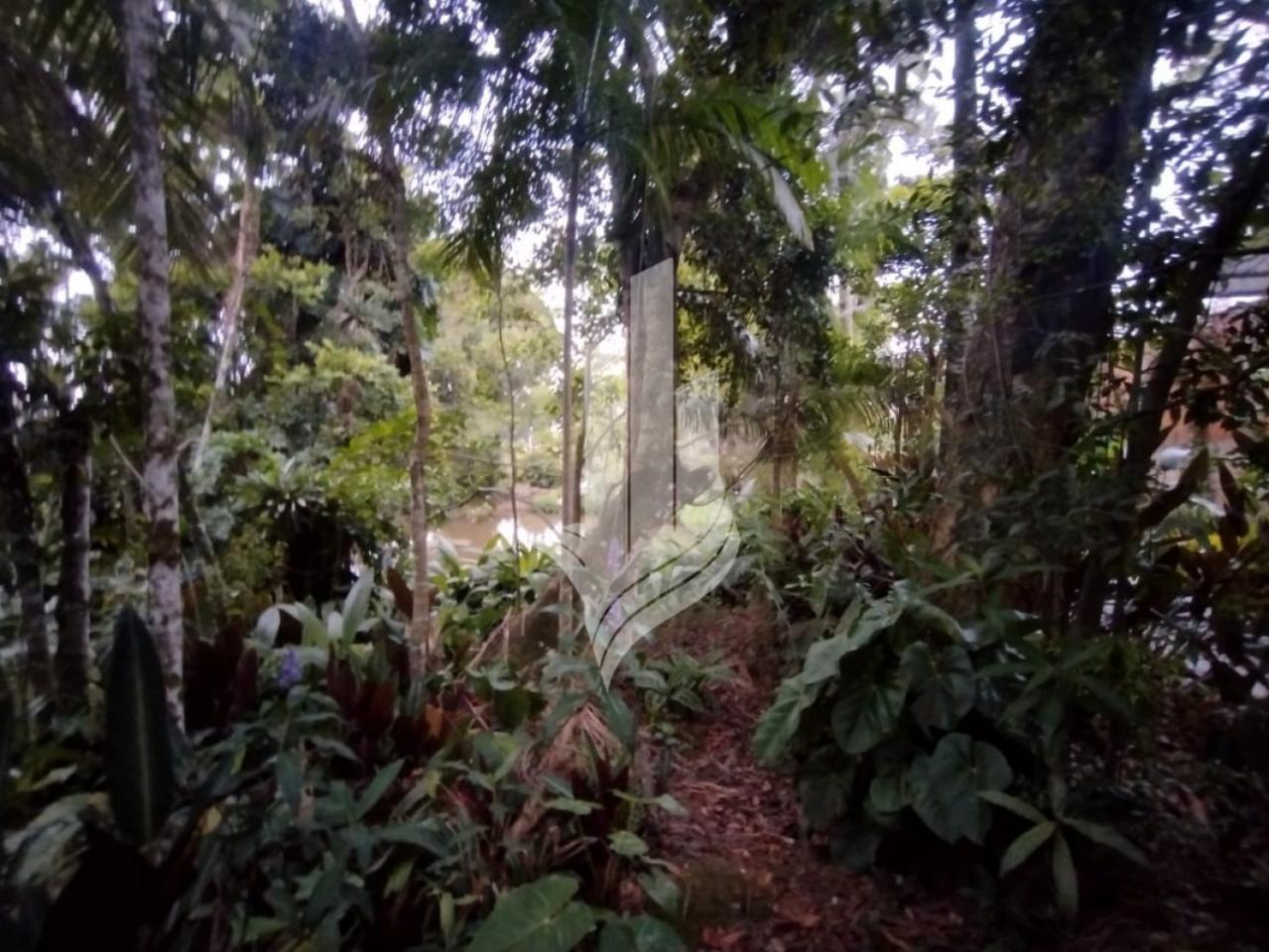 Terreno à venda no Bairro Água Verde em Blumenau com 3.612,20m, sendo 27 metros de frente, plano e leve aclive nos fundos — foto 6