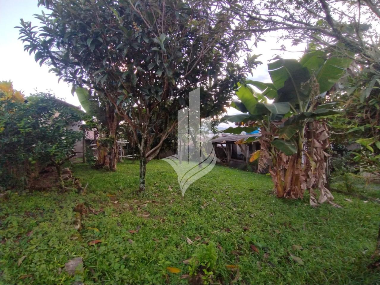 Terreno à venda no bairro Água Verde - foto 1