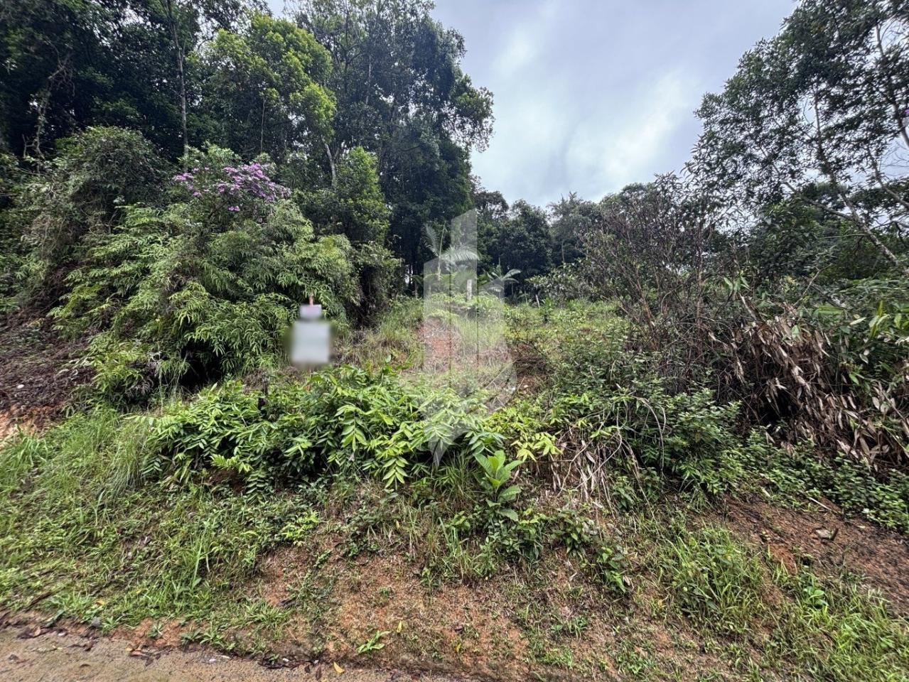 Terreno nas mediações do bairro Garcia - 561m - foto 1