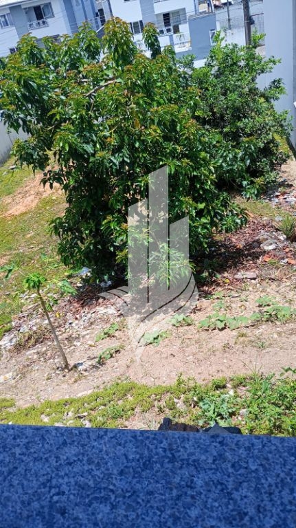 Amplo terreno 336m no bairro bela vista — foto 3