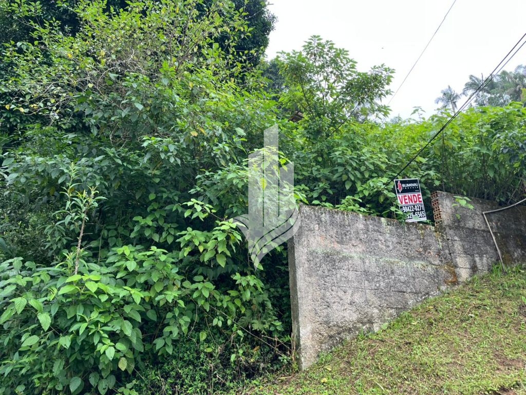 Terreno 650m no bairro Água Verde — foto 2