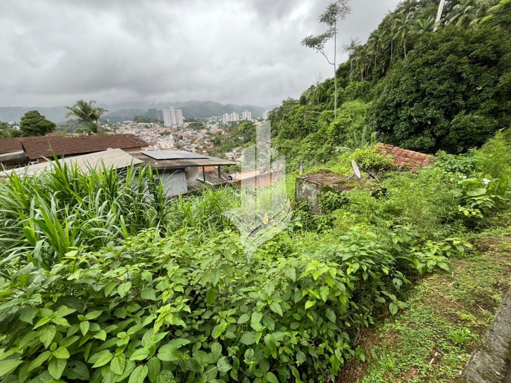 Terreno 650m no bairro Água Verde — foto 3