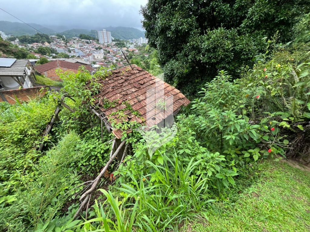Terreno 650m no bairro Água Verde — foto 6