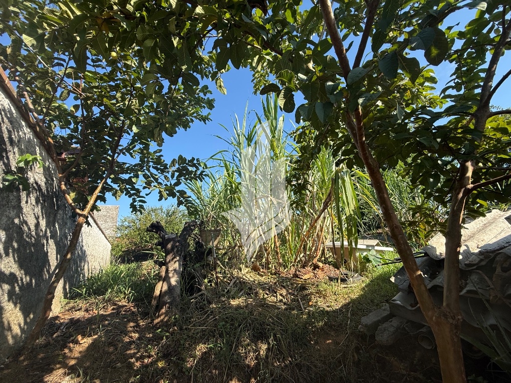 Terreno no bairro Velha Central — foto 2