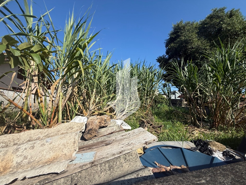 Terreno no bairro Velha Central — foto 3
