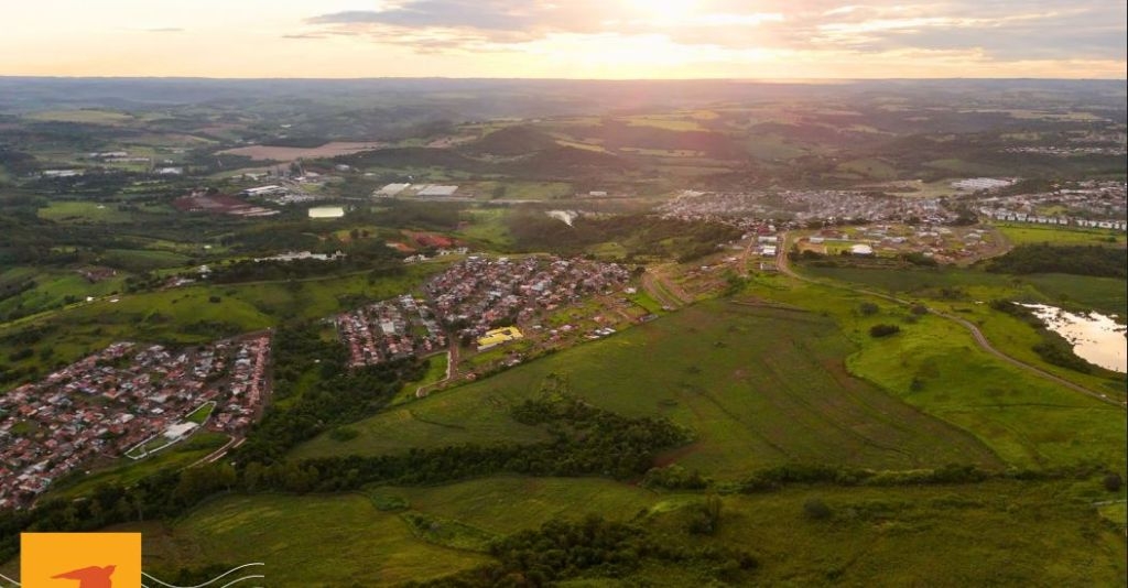 Venda de Apartamentos / Padrão na cidade de Londrina
