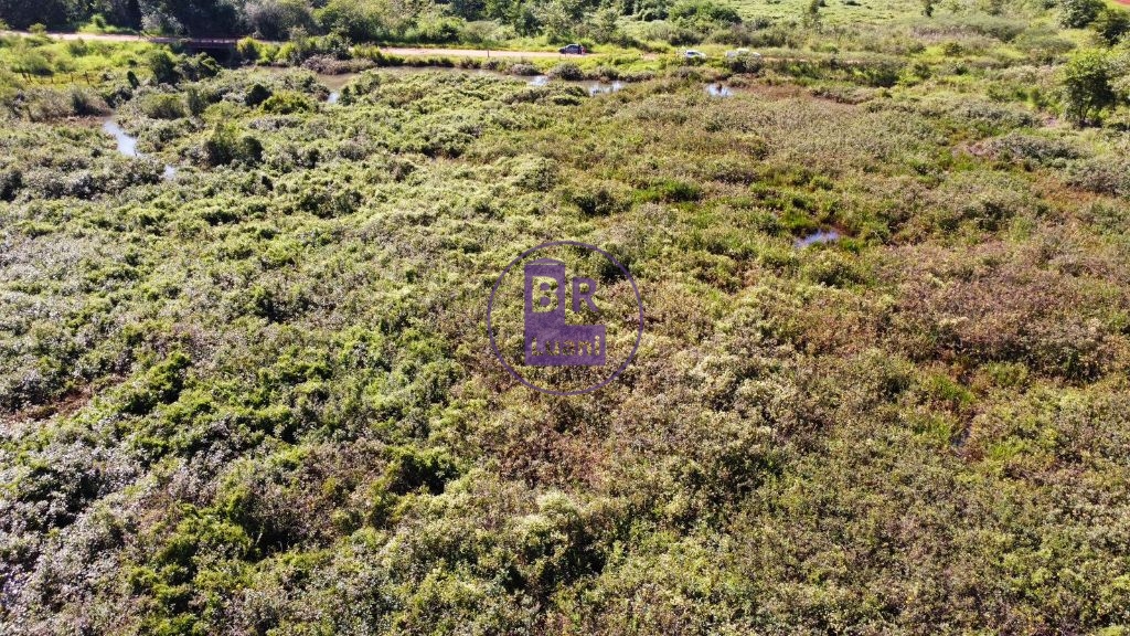 Terreno com 5.000m² próximo ao início da av pantaneira em ca