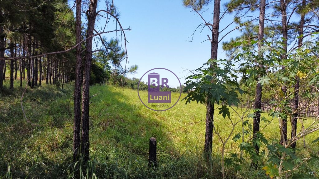 Terreno com 22.000m² próximo ao centro de irerê