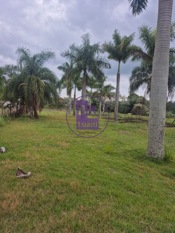 Excelente terreno 2020m² com 20 palmeiras imperiais.