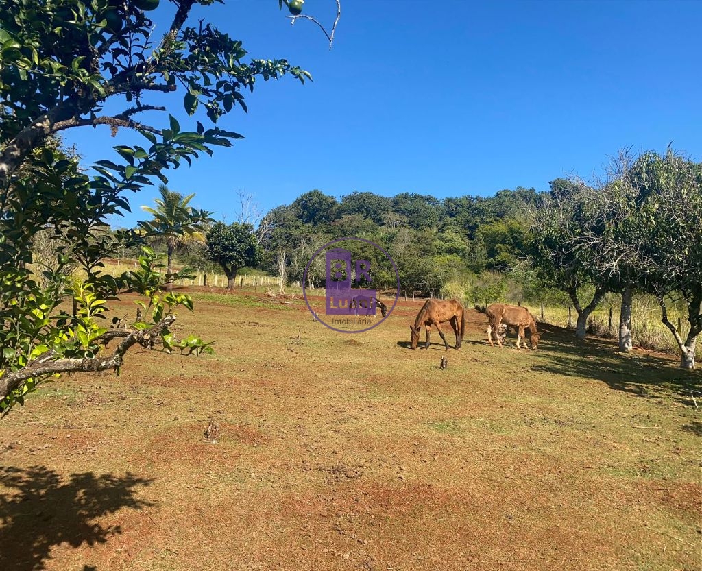 Terreno a venda com 26 mil m2