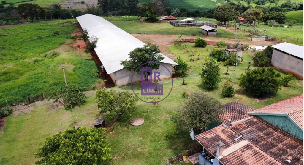 Sitio a venda com 6 hectares em Jaguapitã