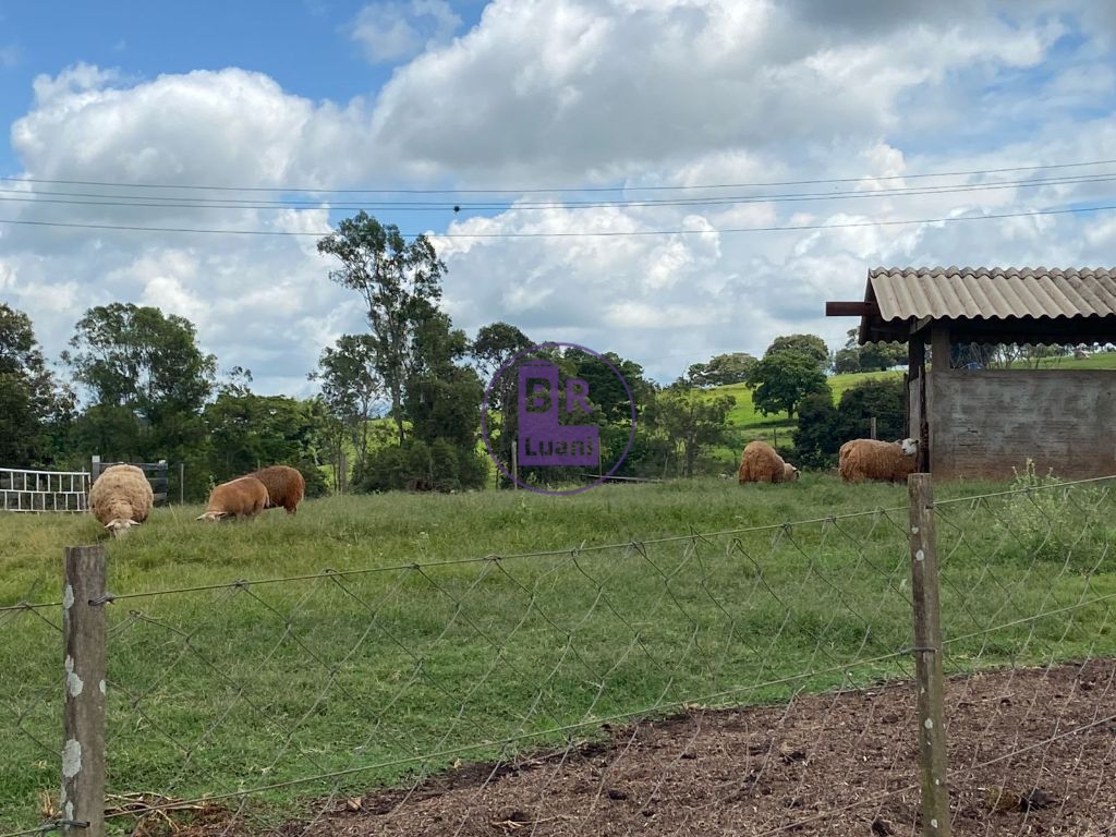 Sitio a venda com 6 hectares em jaguapitã