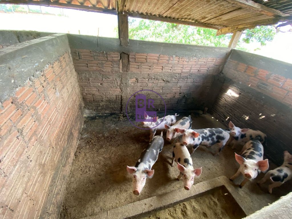 Sitio a venda com 6 hectares em jaguapitã